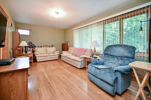 1314 Parkview Ave, Winona, MN 55987 - living room featuring hardwood / wood-style flooring