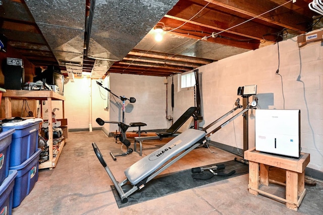 1314 Parkview Ave, Winona, MN 55987 - workout area featuring concrete block wall