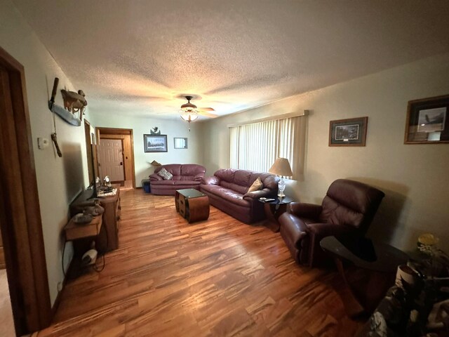 600 Gilbert Ave S, Park Rapids, MN 56470 - living area with a textured ceiling, light wood-style flooring, and ceiling fan