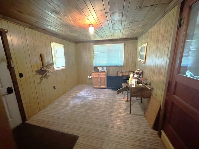 600 Gilbert Ave S, Park Rapids, MN 56470 - corridor with carpet flooring, wood walls, and wood ceiling