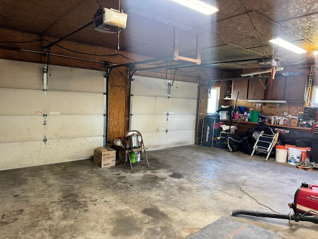 600 Gilbert Ave S, Park Rapids, MN 56470 - garage with a garage door opener