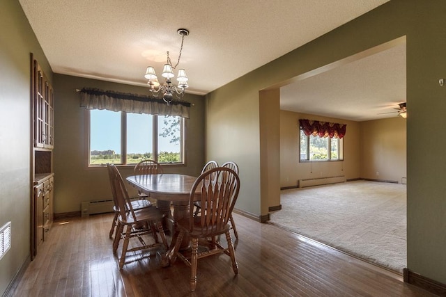 41072 280th St, Arlington Twp, MN 55307 - dining room featuring a baseboard radiator, a chandelier, wood finished floors, and a textured ceiling