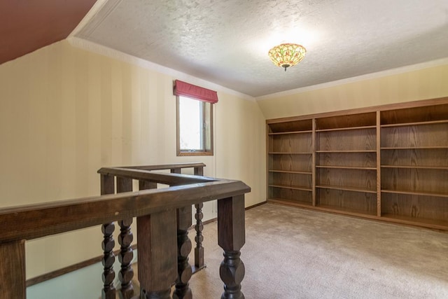 41072 280th St, Arlington Twp, MN 55307 - corridor featuring carpet floors, a textured ceiling, built in features, and ornamental molding