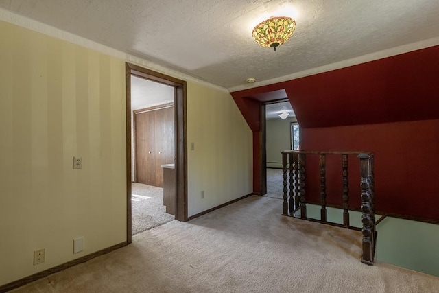41072 280th St, Arlington Twp, MN 55307 - additional living space featuring carpet floors, a textured ceiling, baseboard heating, and lofted ceiling
