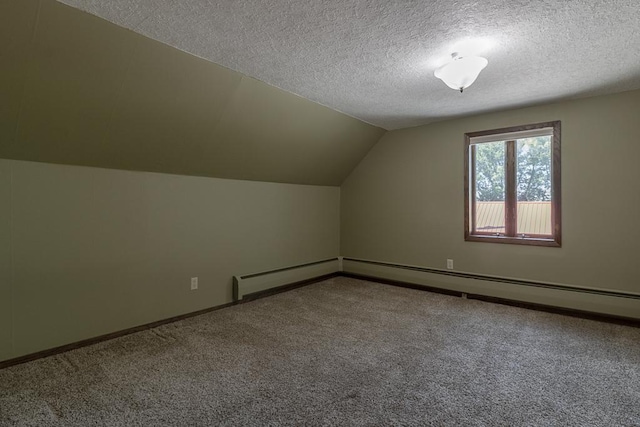 41072 280th St, Arlington Twp, MN 55307 - additional living space with carpet floors, a textured ceiling, and lofted ceiling