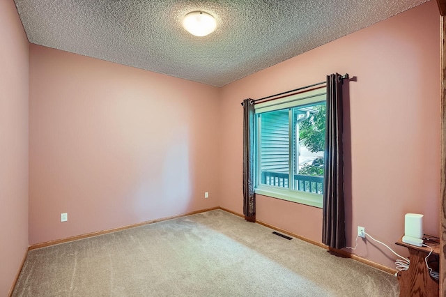 2907 Asarum Ct, Shakopee, MN 55379 - empty room featuring carpet flooring and a textured ceiling