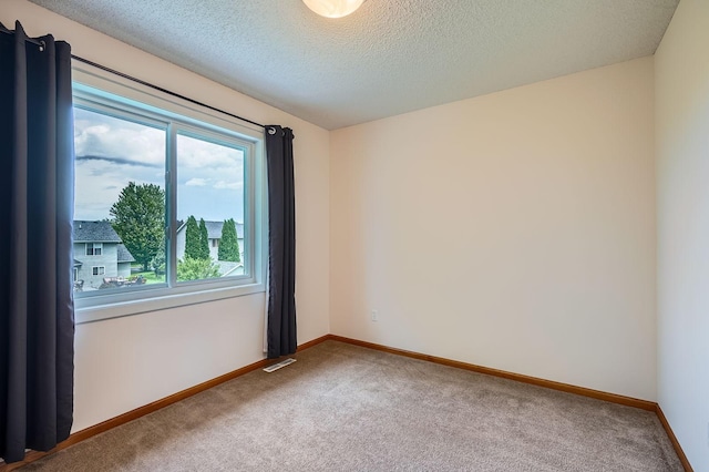 2907 Asarum Ct, Shakopee, MN 55379 - unfurnished room with carpet and a textured ceiling