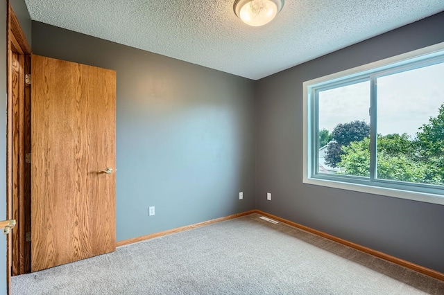 2907 Asarum Ct, Shakopee, MN 55379 - carpeted spare room featuring baseboards and a textured ceiling