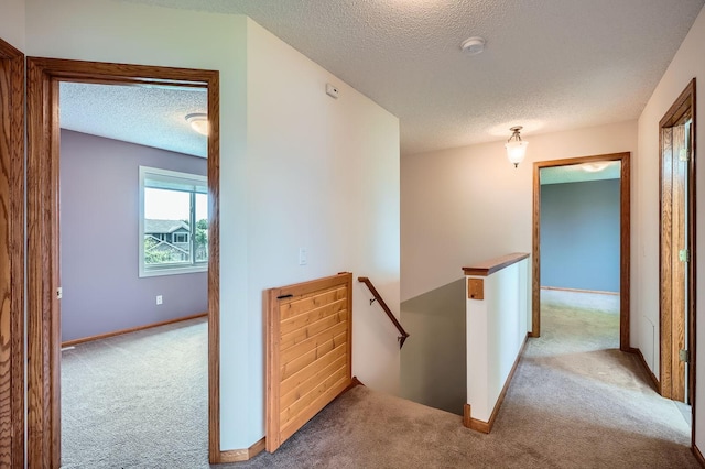 2907 Asarum Ct, Shakopee, MN 55379 - hallway with an upstairs landing, a textured ceiling, and carpet flooring