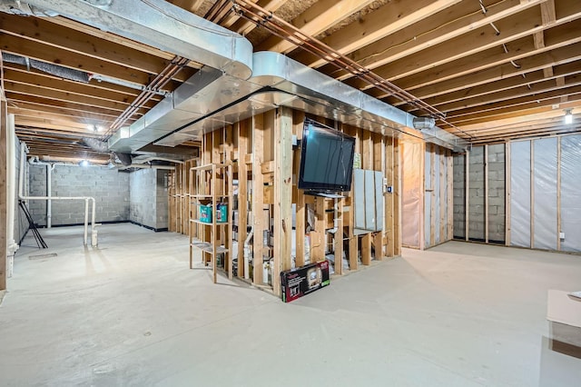 2907 Asarum Ct, Shakopee, MN 55379 - view of unfinished basement