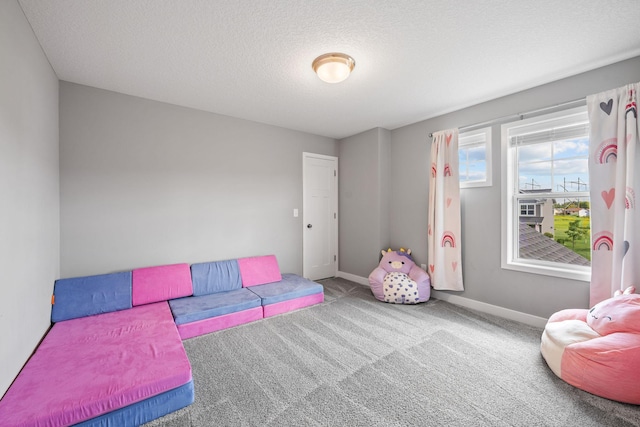5027 Jansen Ave NE, Saint Michael, MN 55376 - playroom with carpet floors and a textured ceiling