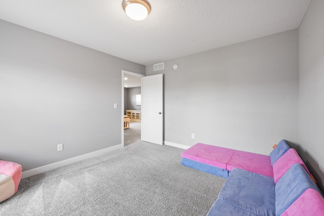5027 Jansen Ave NE, Saint Michael, MN 55376 - sitting room featuring carpet floors and a textured ceiling