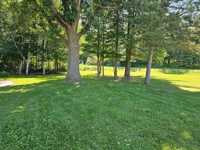 21578 Edwards Dr, Irondale Twp, MN 56455 - view of green lawn