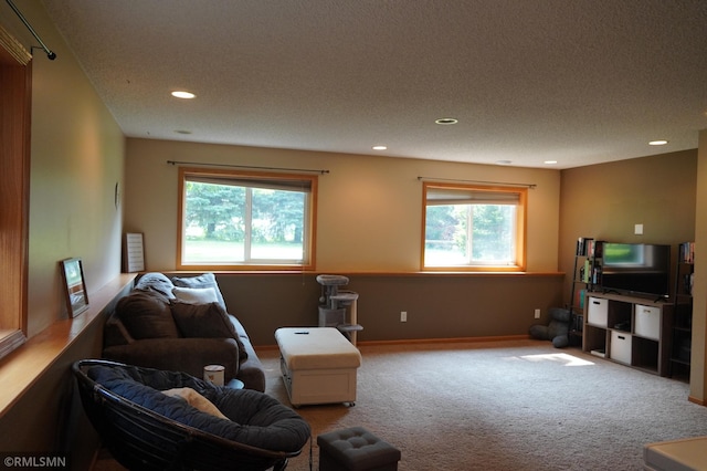 11223 Diane Ave, Becker, MN 55308 - carpeted living area featuring recessed lighting and baseboards