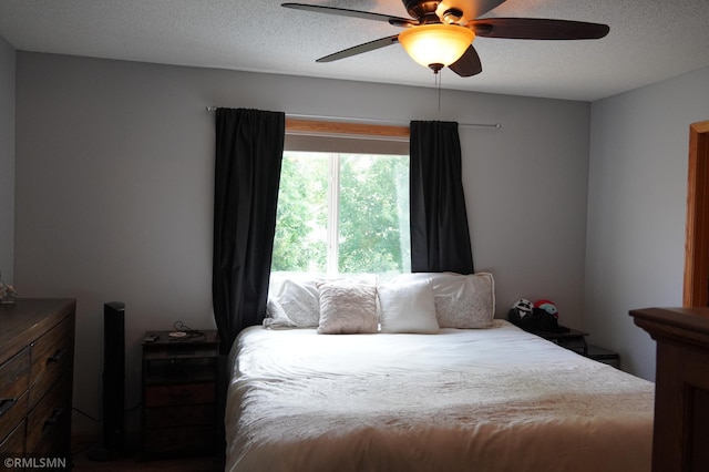 11223 Diane Ave, Becker, MN 55308 - bedroom with a textured ceiling and ceiling fan