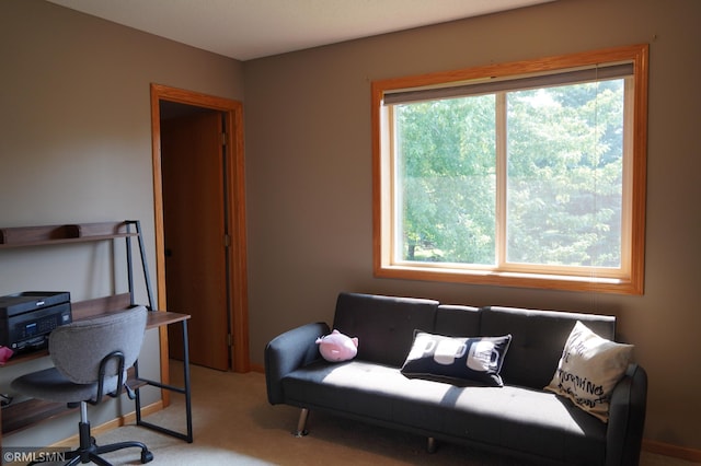 11223 Diane Ave, Becker, MN 55308 - view of carpeted home office