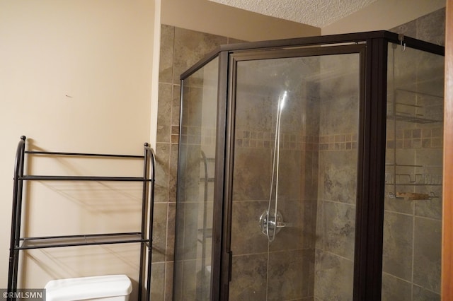 11223 Diane Ave, Becker, MN 55308 - full bath with a stall shower and a textured ceiling