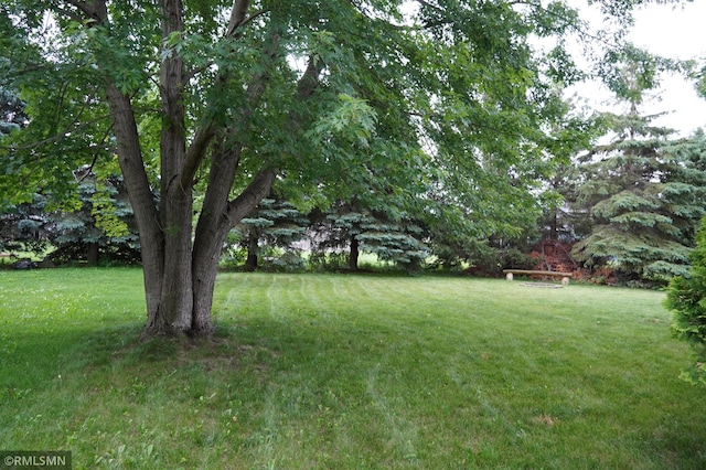 11223 Diane Ave, Becker, MN 55308 - view of green lawn
