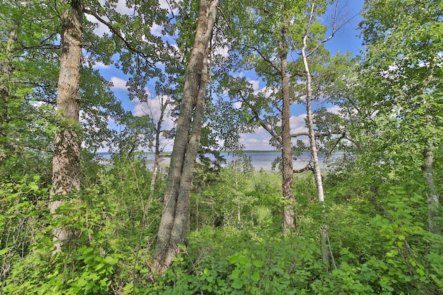 TBD Pine Mountain Lake Rd NW, Backus, MN 56435 - photo 1