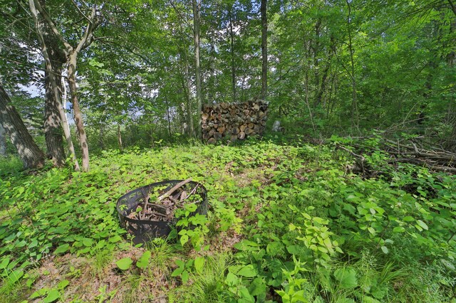 TBD Pine Mountain Lake Rd NW, Backus, MN 56435 - photo 2