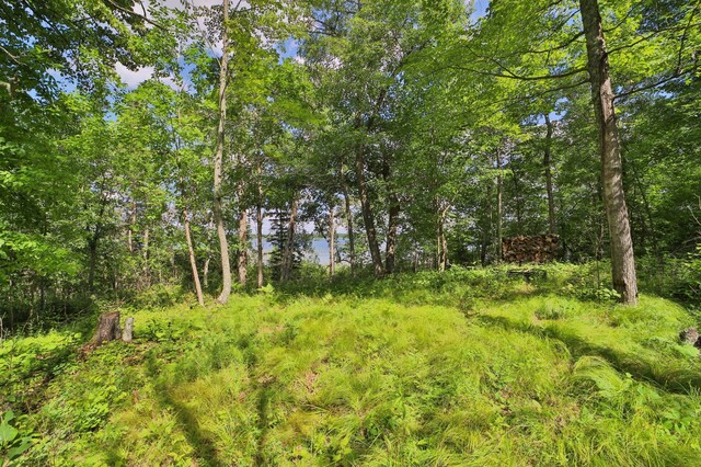 TBD Pine Mountain Lake Rd NW, Backus, MN 56435 - photo 3