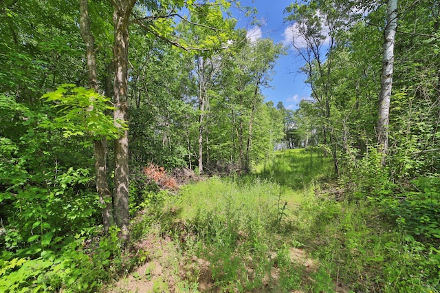 TBD Pine Mountain Lake Rd NW, Backus, MN 56435 - photo 4