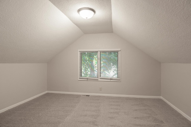 3919 Dupont Ave N, Minneapolis, MN 55412 - additional living space featuring a textured ceiling, carpet, and vaulted ceiling