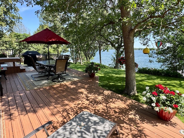 33678 Wildwood Dr, Dent, MN 56528 - photo 6