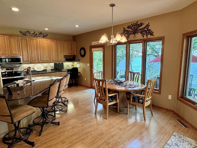 33678 Wildwood Dr, Dent, MN 56528 - photo 15