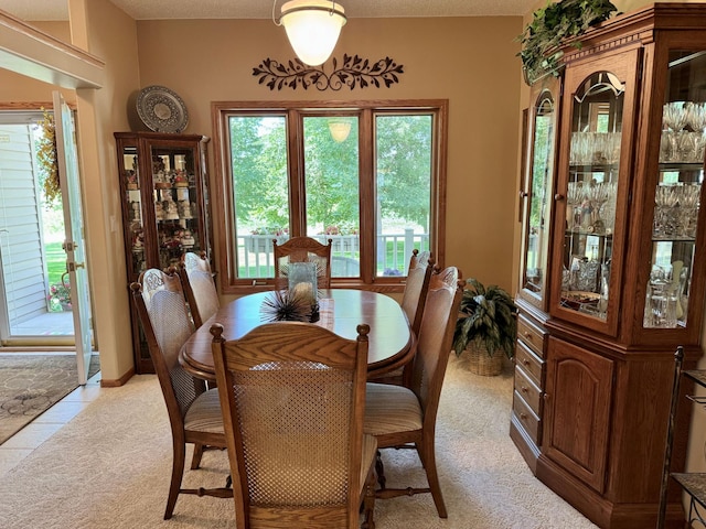 33678 Wildwood Dr, Dent, MN 56528 - photo 20