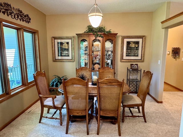33678 Wildwood Dr, Dent, MN 56528 - photo 21