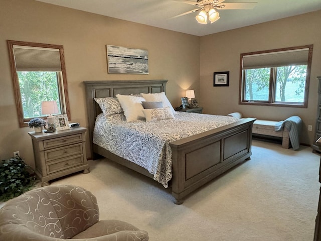 33678 Wildwood Dr, Dent, MN 56528 - photo 24