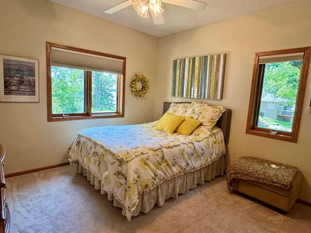 33678 Wildwood Dr, Dent, MN 56528 - photo 27