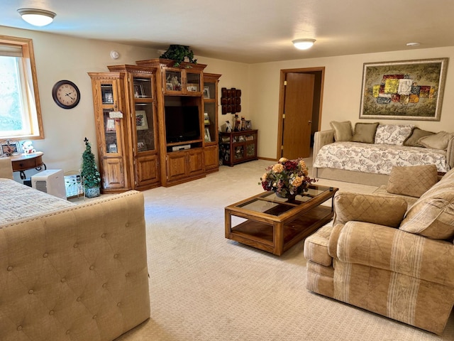 33678 Wildwood Dr, Dent, MN 56528 - photo 35