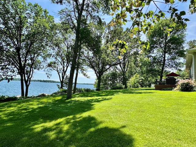 33678 Wildwood Dr, Dent, MN 56528 - photo 46