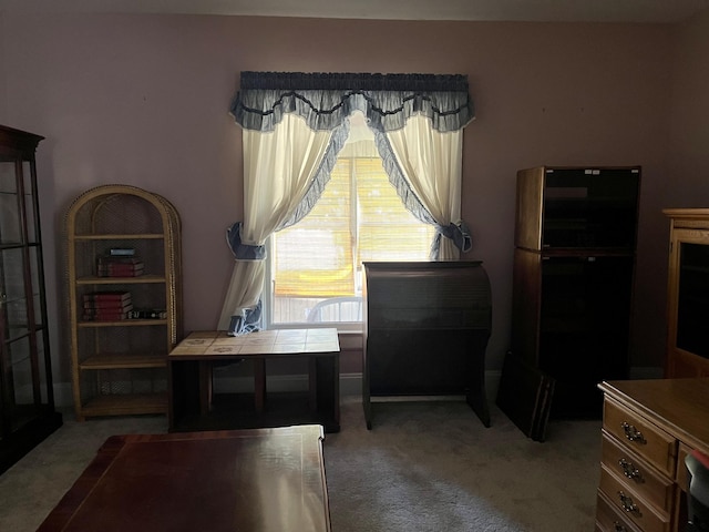 1157 6th Ave S, Windom, MN 56101 - view of carpeted dining room