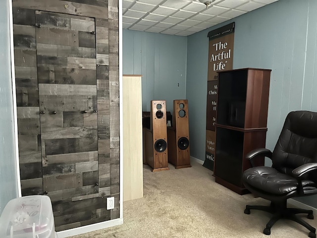 1157 6th Ave S, Windom, MN 56101 - sitting room with carpet floors