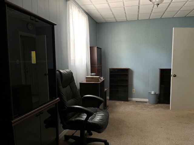 1157 6th Ave S, Windom, MN 56101 - office area featuring carpet