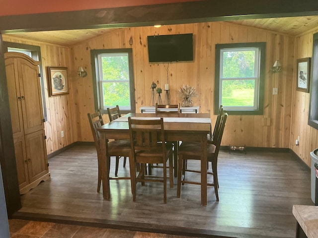 705 State Highway 28 W, Glenwood, MN 56334 - dining room featuring lofted ceiling, dark wood finished floors, wood walls, and wood ceiling