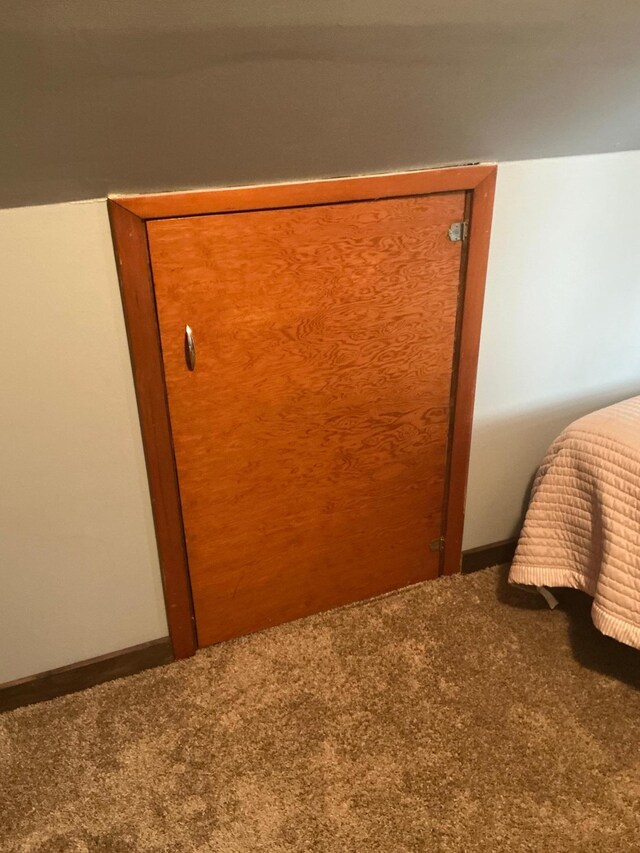 705 State Highway 28 W, Glenwood, MN 56334 - detailed view of carpet