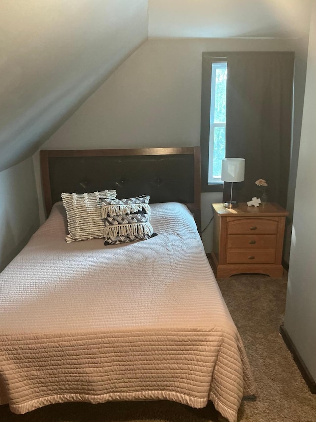 705 State Highway 28 W, Glenwood, MN 56334 - bedroom featuring lofted ceiling and carpet