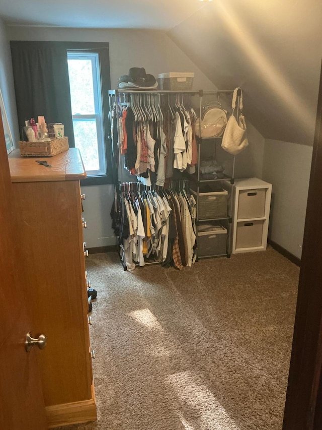 705 State Highway 28 W, Glenwood, MN 56334 - walk in closet with vaulted ceiling and carpet
