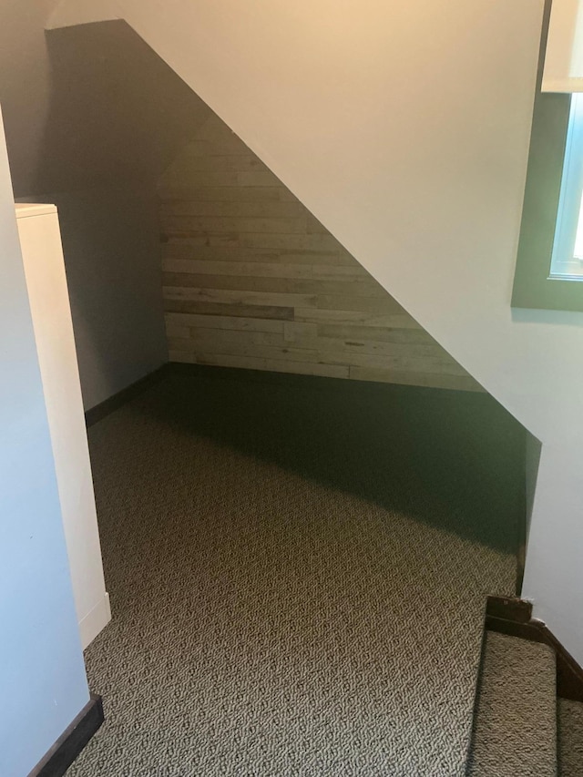 705 State Highway 28 W, Glenwood, MN 56334 - additional living space featuring carpet floors and lofted ceiling