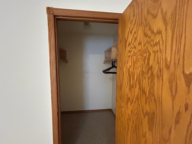 353 River Dr, Park Rapids, MN 56470 - walk in closet with carpet