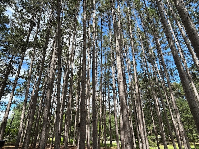 353 River Dr, Park Rapids, MN 56470 - view of nature