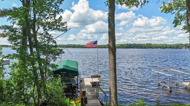 29351 410th Pl, Farm Island Twp, MN 56431 - dock with boat lift and a water view