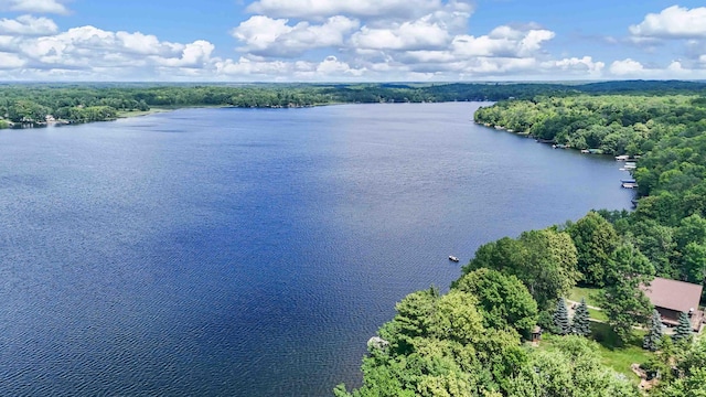 29351 410th Pl, Farm Island Twp, MN 56431 - aerial view of a large body of water and a heavily wooded area