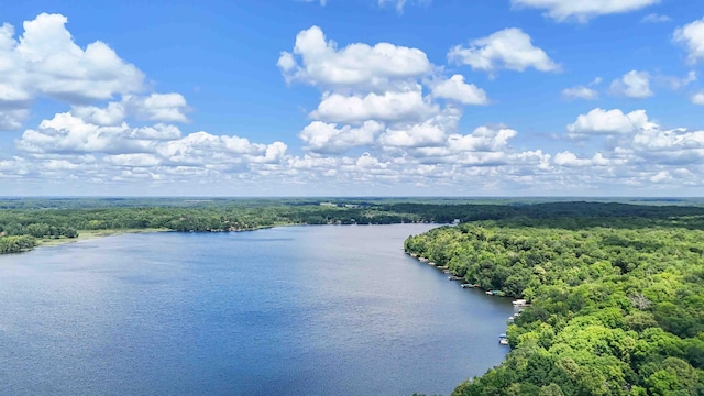 29351 410th Pl, Farm Island Twp, MN 56431 - bird's eye view of a heavily wooded area and a large body of water