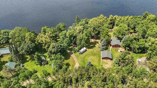 29351 410th Pl, Farm Island Twp, MN 56431 - aerial view of a nearby body of water