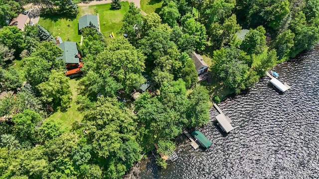 29351 410th Pl, Farm Island Twp, MN 56431 - bird's eye view of a nearby body of water